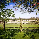 Les Maisons De Charlotte