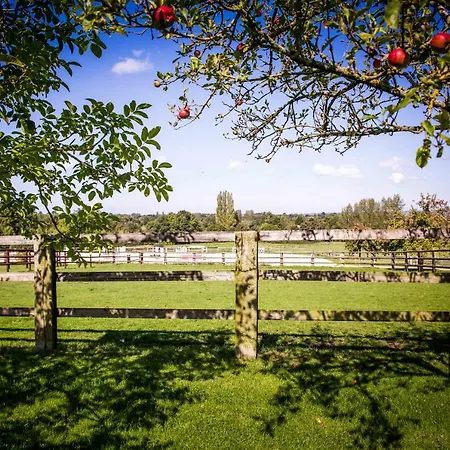 Les Maisons De Charlotte