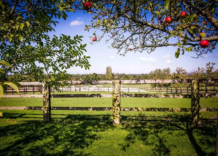 Les Maisons De Charlotte